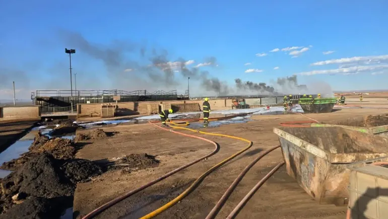 incendio-indarsa-anelo-contenidojpg