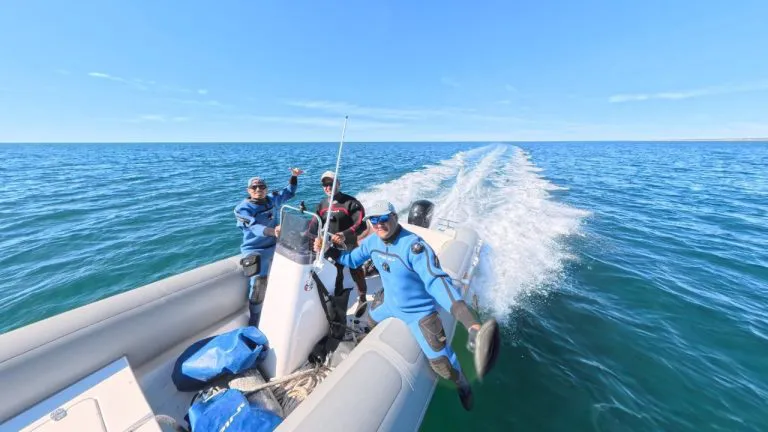 d46d37ba-be67-4cc2-b3df-f454cd61c8ea-768x432