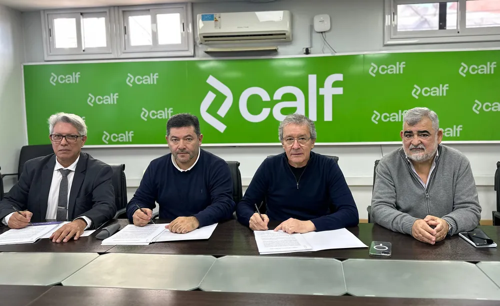 Calf fibra