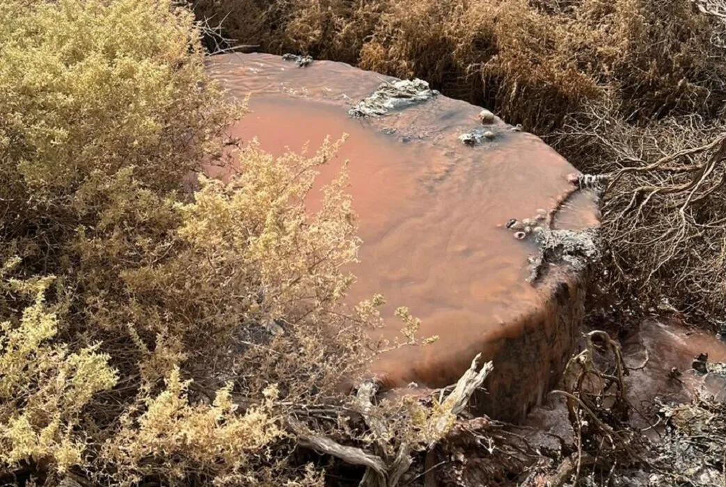 Inicio-del-juicio-a-Conarpesa-por-vertidos-contaminantes-en-el-Golfo-Nuevo
