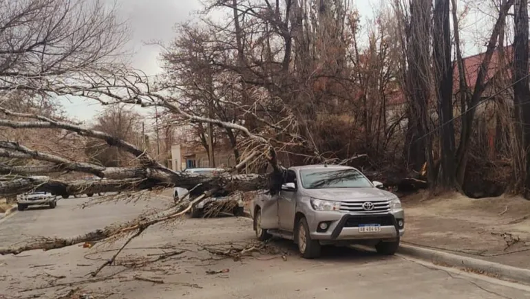 temporal-viento-chos-malal (2)