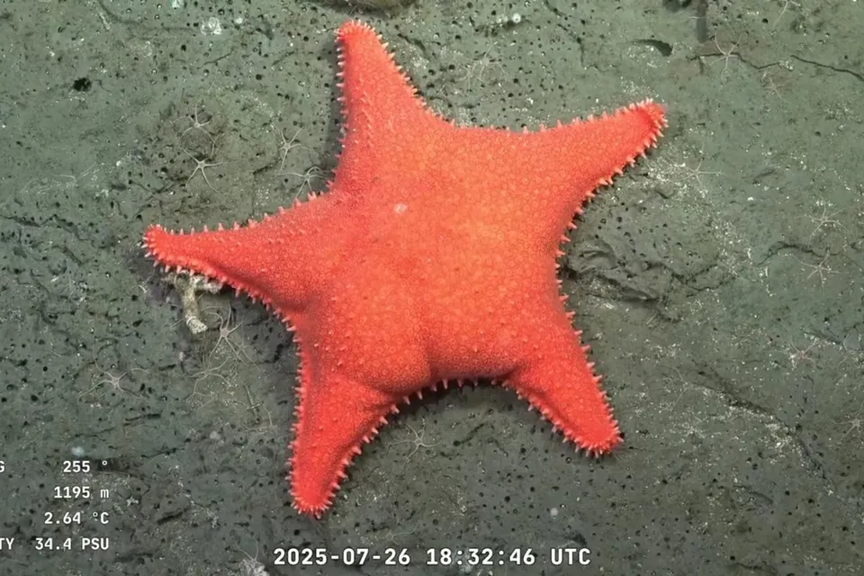 961886-gxe7f6uwcaaos-y-2-1