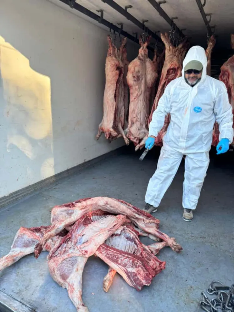 md - 2025-11-12T201406.910