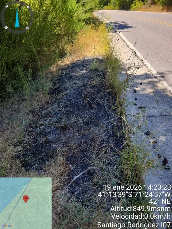 1001272269-1152x1536