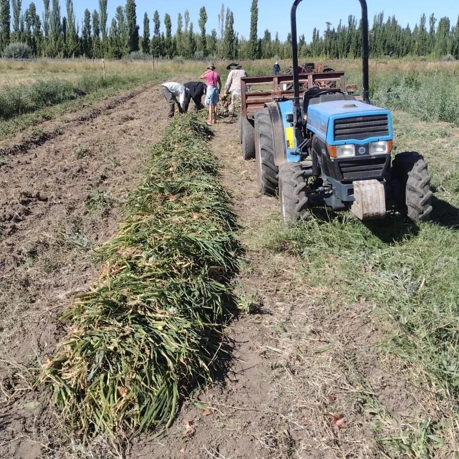 486707142_1151916486724425_3161802962382819861_n