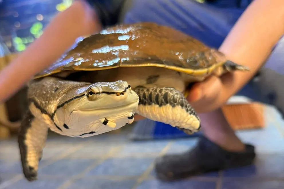 md - 2025-12-18T105455.650