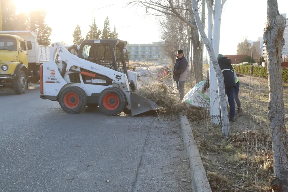 WhatsApp Image 2024-08-28 at 11.23.21 (1)