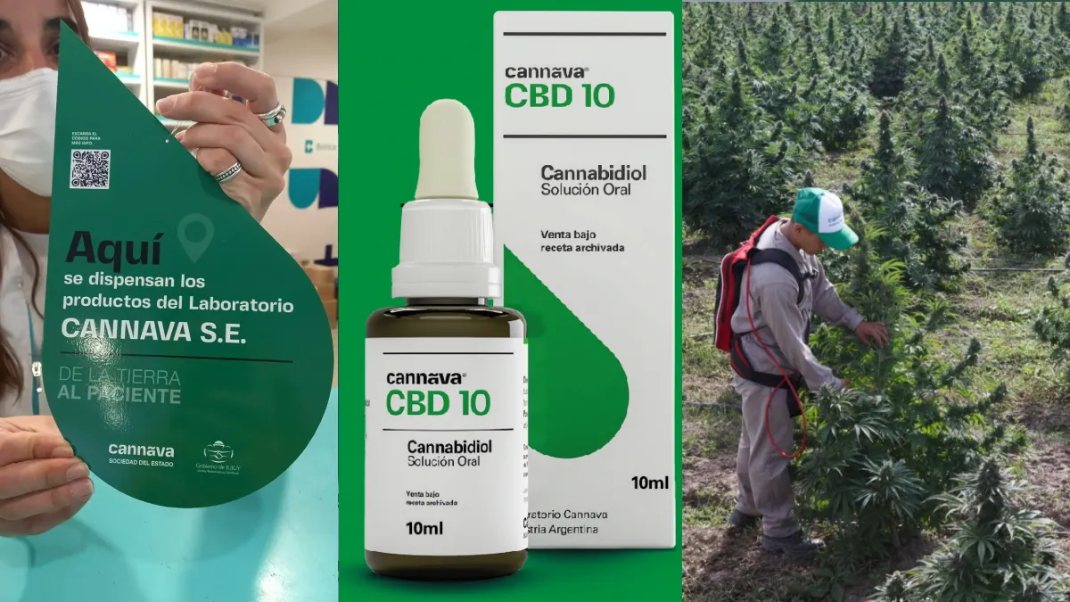 aceite-cannabis-1jpg