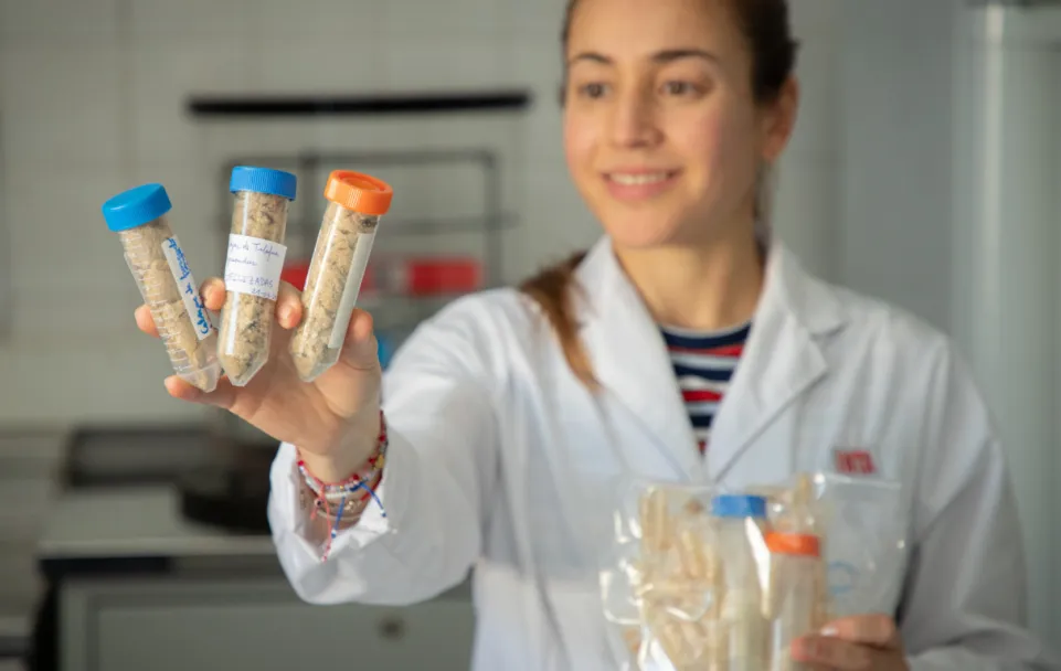 Opera Instantánea_2025-05-20_192627_www.argentina.gob.ar