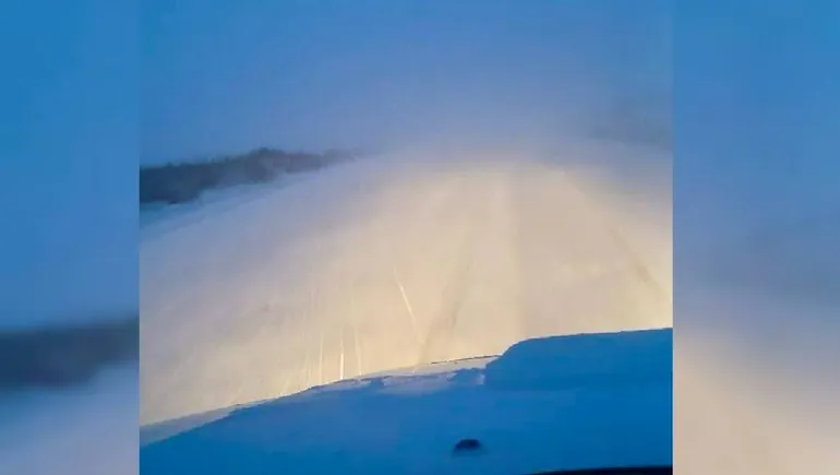 pino-hachado-visibilidadjpg