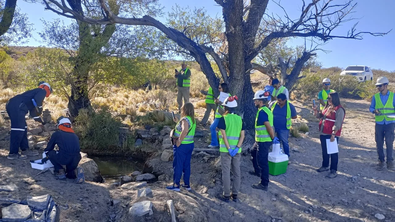 1771608006_01aaf2c578ef22d3b1e3