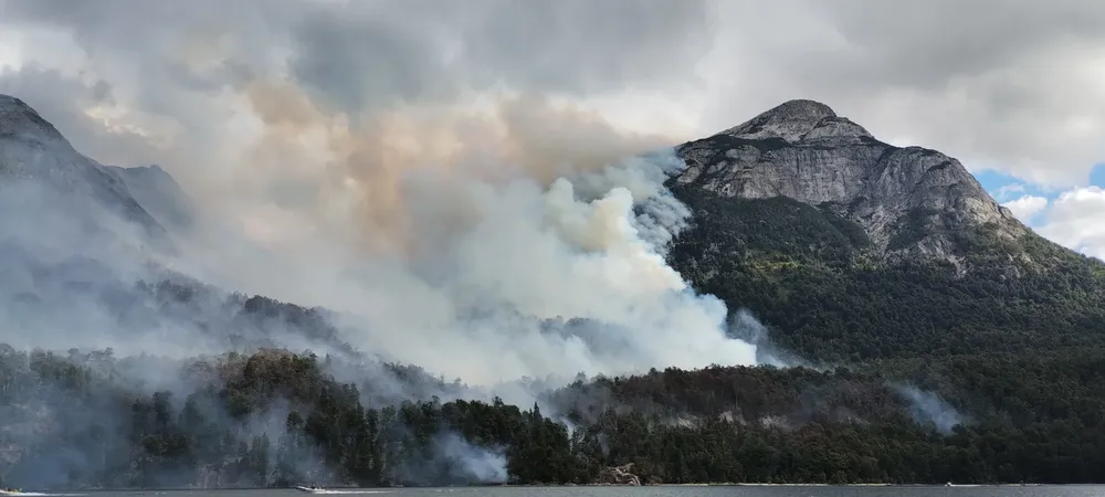 1555e447-a67a-41d8-afe4-8f07f304d1ee