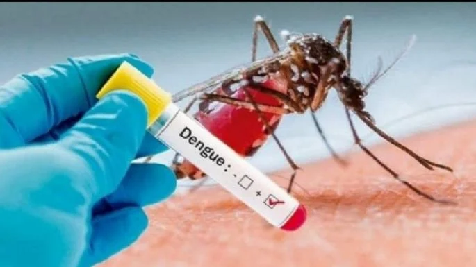 Dengue