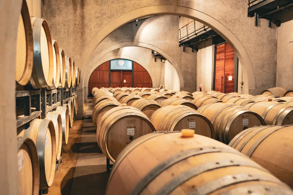 Bodega Malma_2