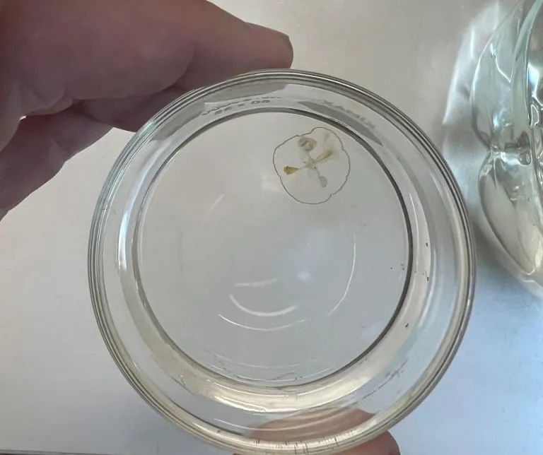 e5f7b7a1-eb95-471d-afdd-06dfd7a769b2-768x1024