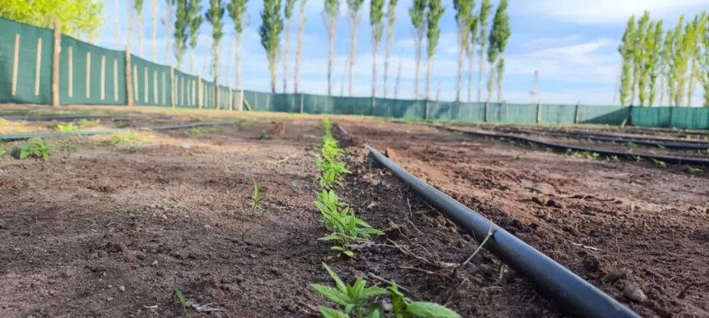 WhatsApp-Image-2025-01-06-at-12.13.38-PM