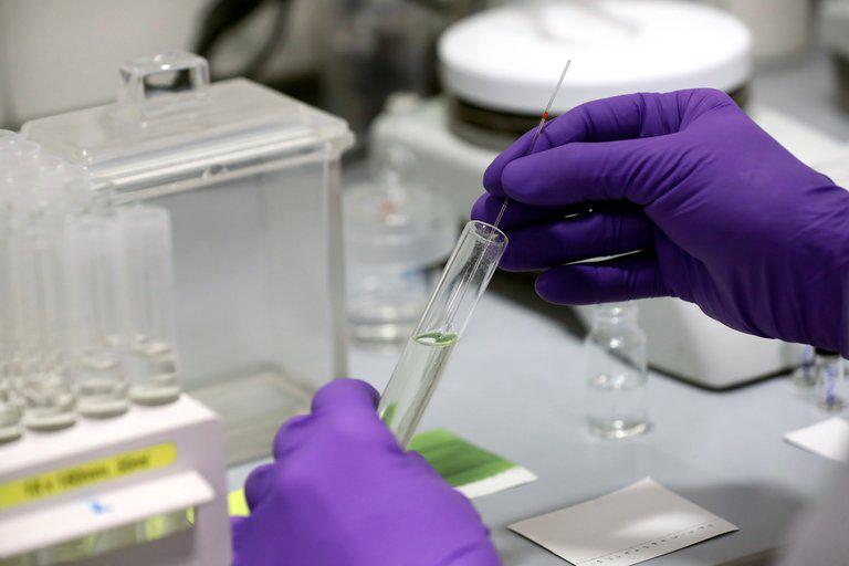 laboratorio