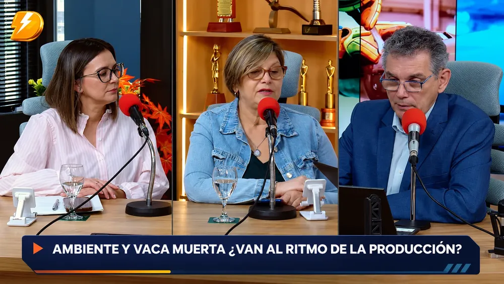Panel de entrevista sobre Vaca Muerta