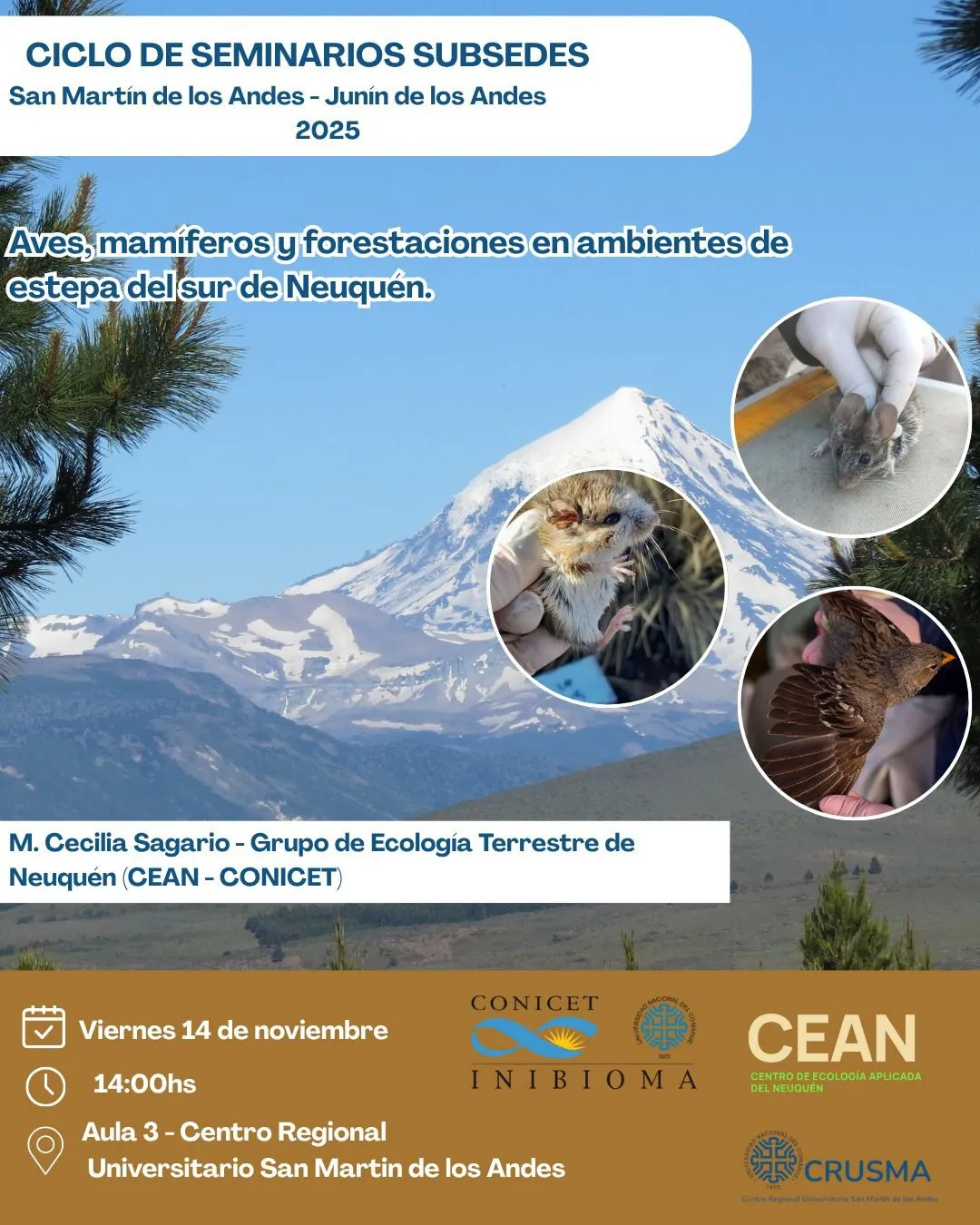 WhatsApp Image 2025-11-13 at 09.18.34