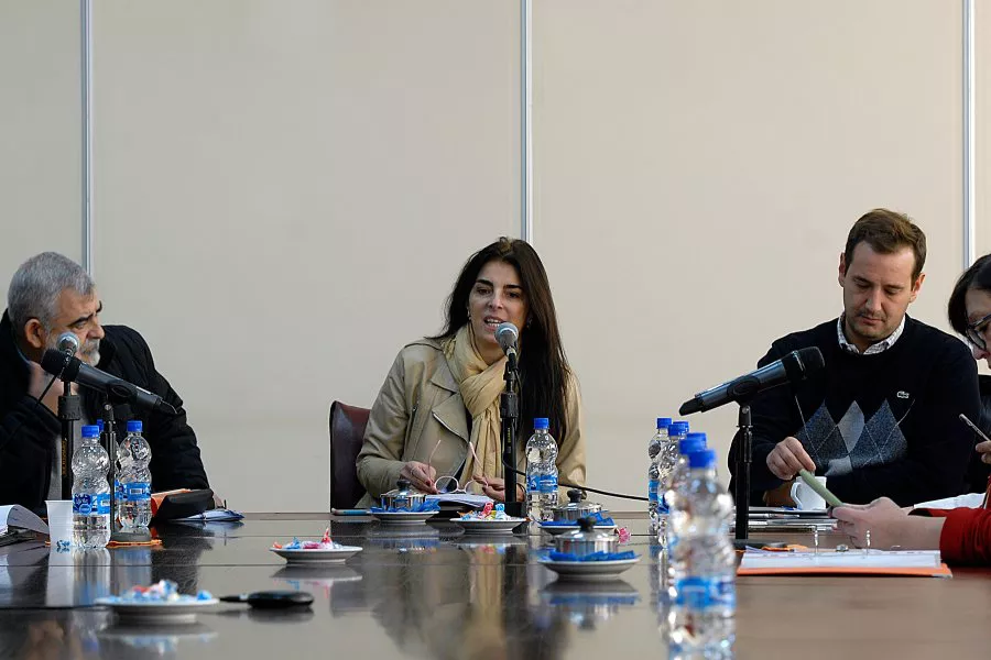 legislatura neuquina