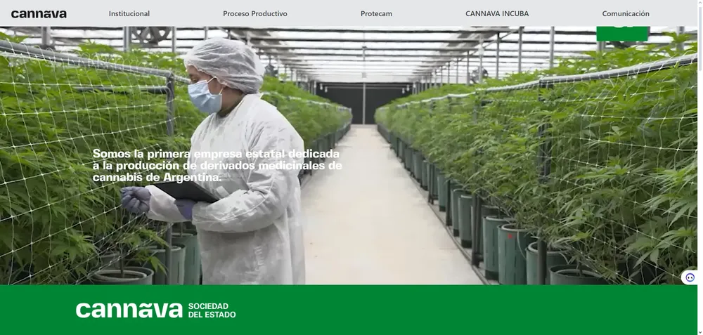 Opera Instantánea_2024-02-12_091254_cannava.com.ar