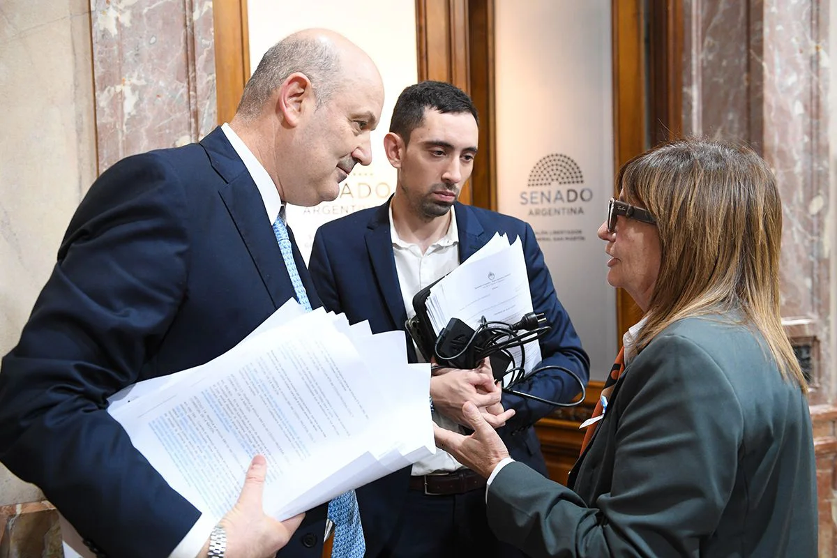 STURZENEGGER-CIERRE-PLENARIA-ASUNTOS-CONST-2-Santiago-Pezzini-Comunicacion-Institucional-Senado-3