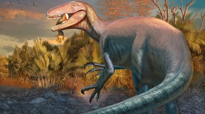 1web-720x400