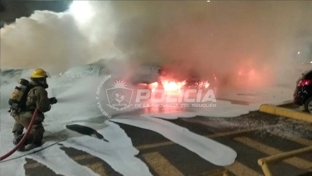 WhatsApp Image 2026-04-01 at 08.16.24