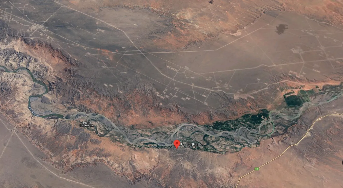 Sauzal Bonito google 2