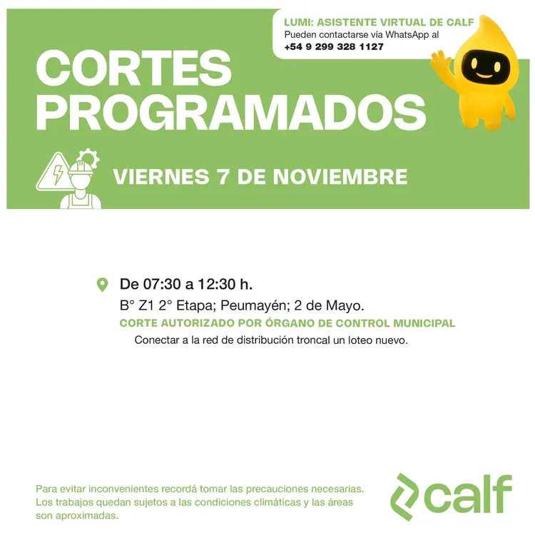 WhatsApp Image 2025-11-06 at 08.11.01