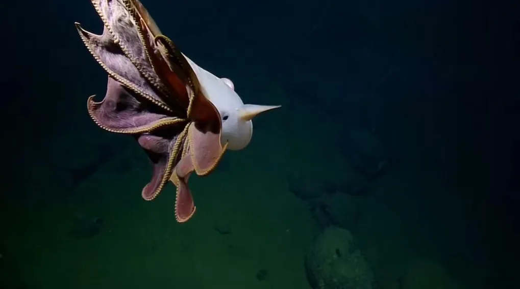 Opera Captura de pantalla_2025-08-06_212154_www.cadena3.com