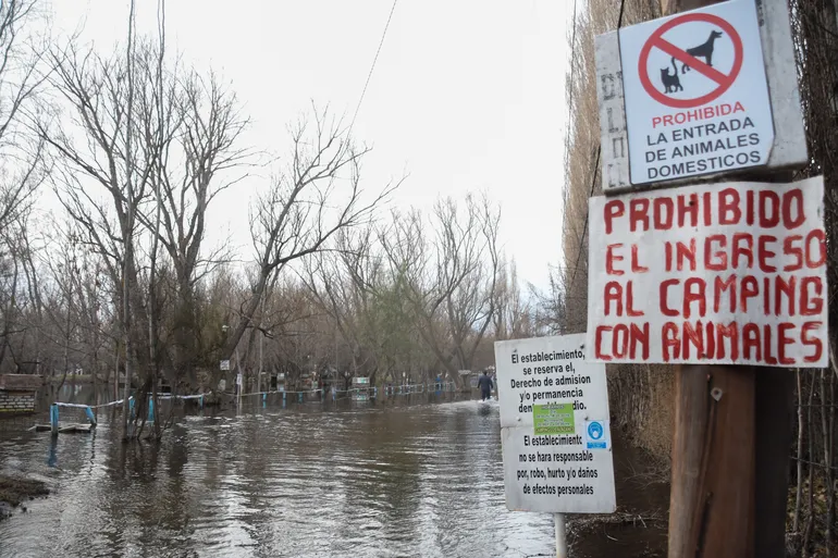on-crecida-rio-neuquen-isla-el-porvenir-centenario-30jpg