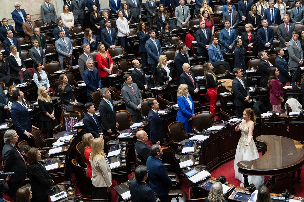 Reforma-del-Banco-Centra-en-diputados-foto-claudio-fanchi-na-2
