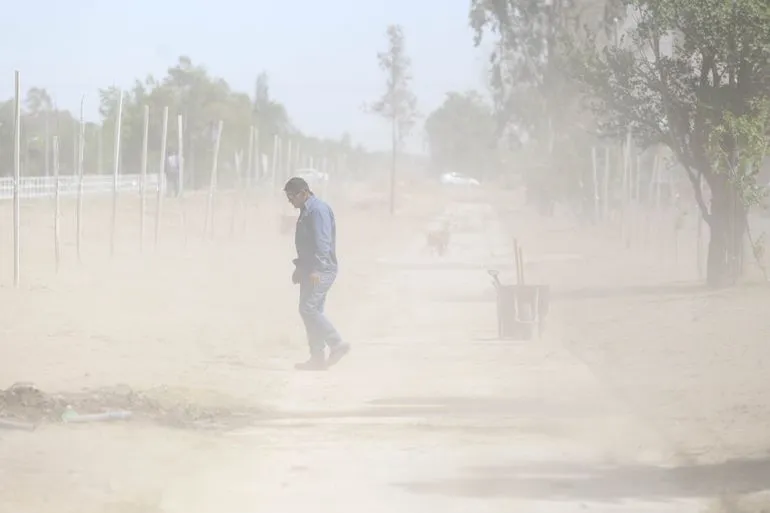 Otro día de viento_