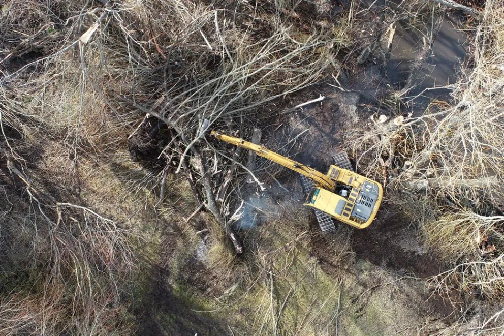 md - 2026-01-17T115231.754