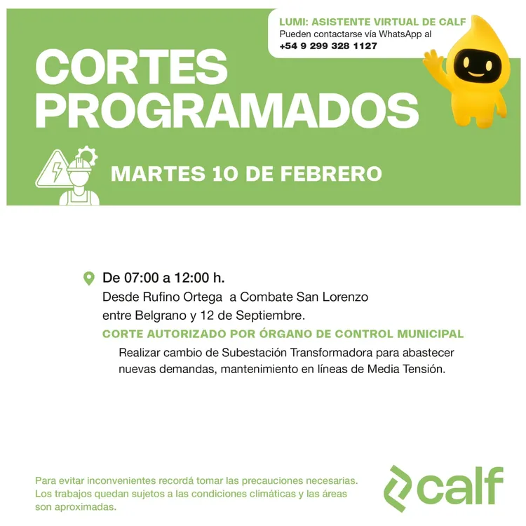 WhatsApp Image 2026-02-09 at 07.25.22