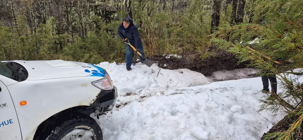 arroyo nieve