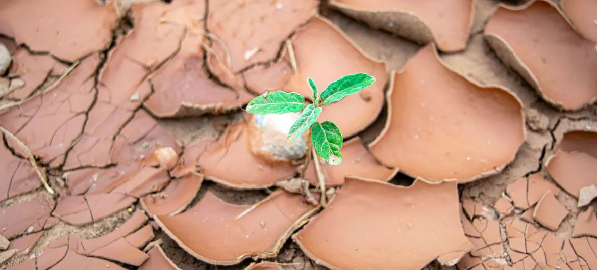 image1170x530cropped (3)