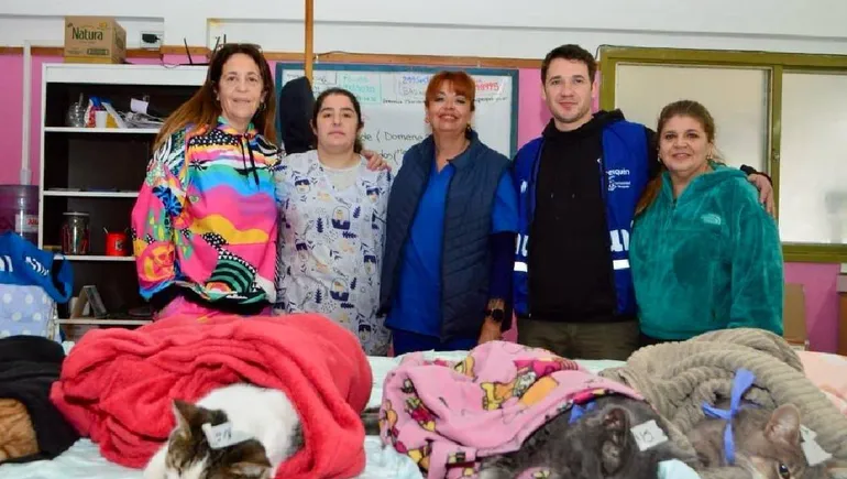 castraciones-gatos-neuquenjpg