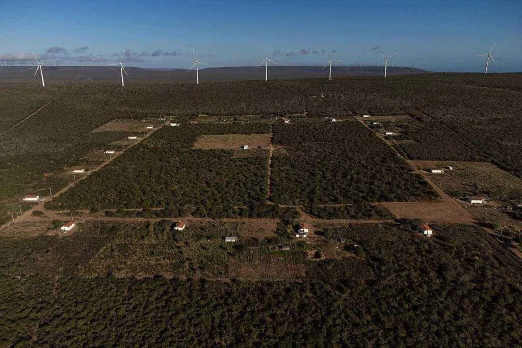 08Vista-aerea-Fazenda-quina_Camilo-Lobo_Dialogo-Chino-1-1024x683-1