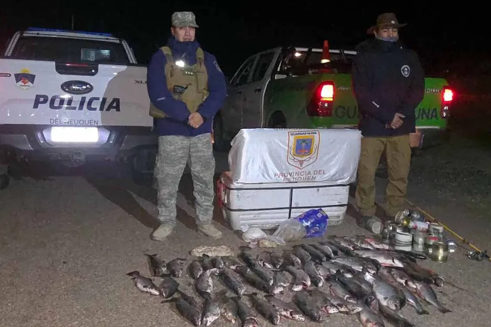 Imagen-de-WhatsApp-2025-05-03-a-las-11.51.14_8d78e9d5