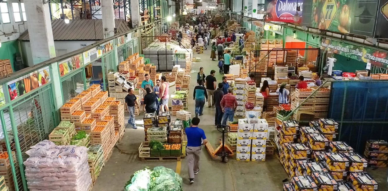 Neuquen-mercado-concentrador