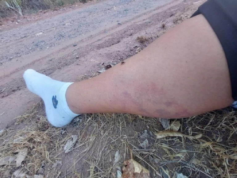 f768x1-783096_783223_5050