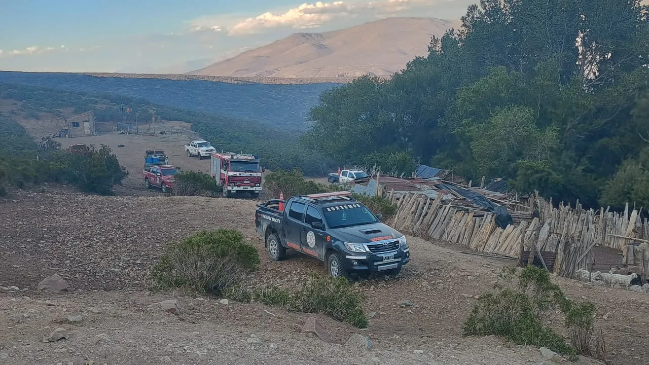 WhatsApp Image 2025-12-03 at 11.12.33 (2)