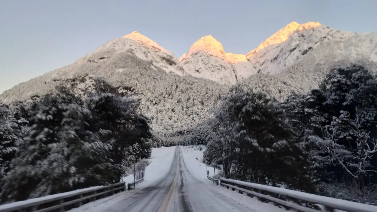 WhatsApp Image 2023-05-27 at 10.20.08