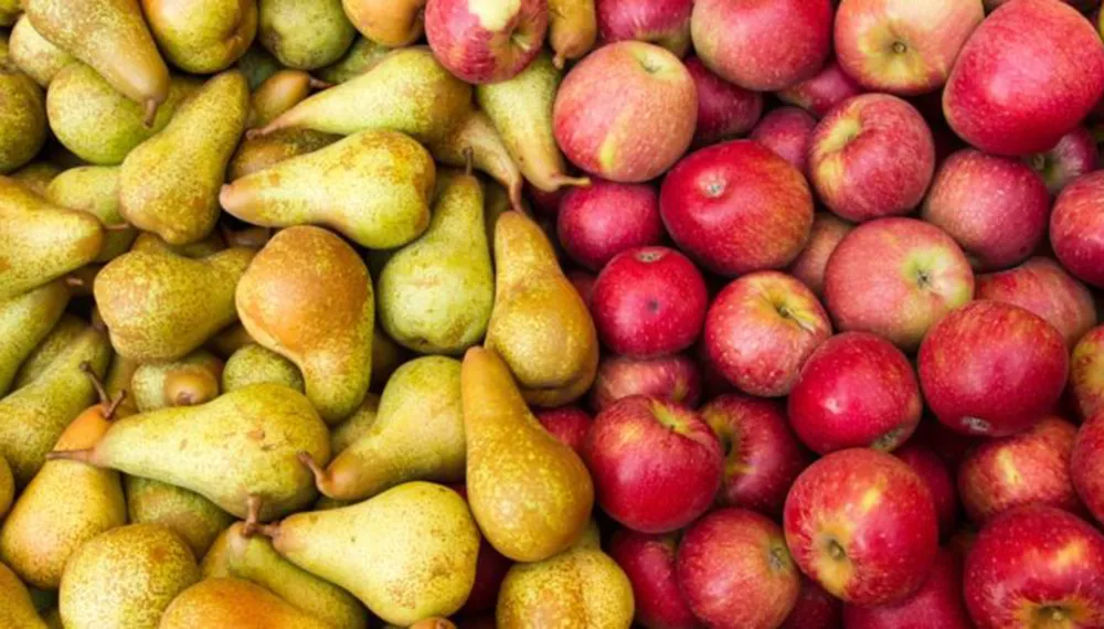 peras-y-manzanas