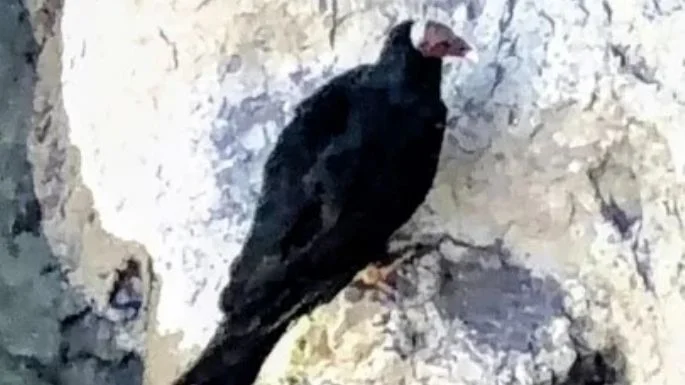 f685x385-248413_286106_5050