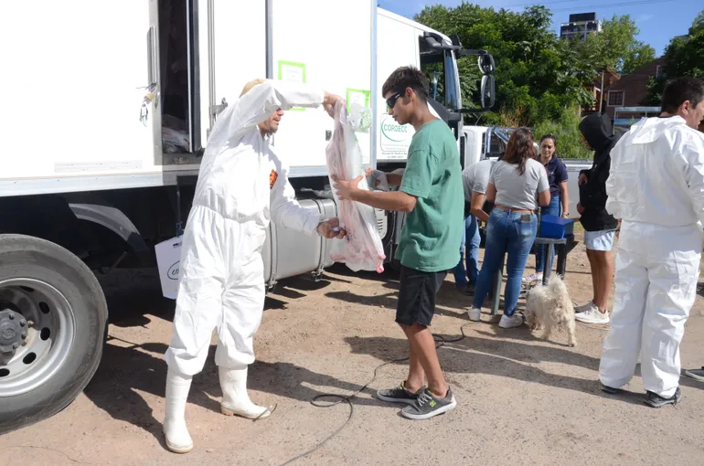 venta-chivitos-parque-jaime-nevares-neuquen-6jpg