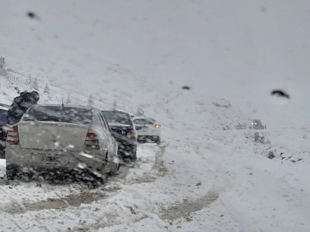 Nieve2