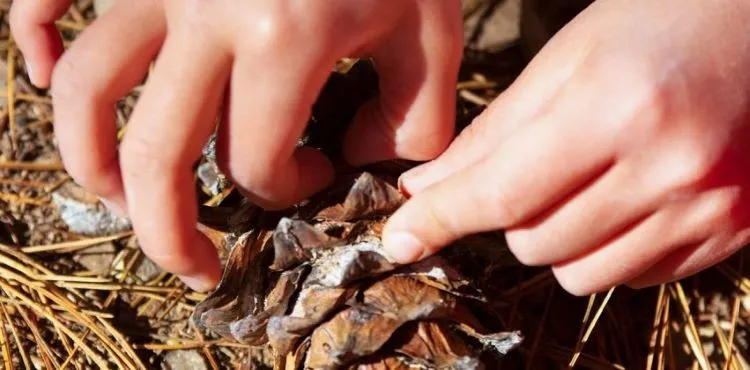 imagen_2024-03-14_115140864